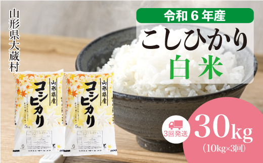 ＜令和6年産米＞ 山形県産 コシヒカリ【白米】30kg定期便 (10kg×3回)　お申込みから2週間程度でお届け