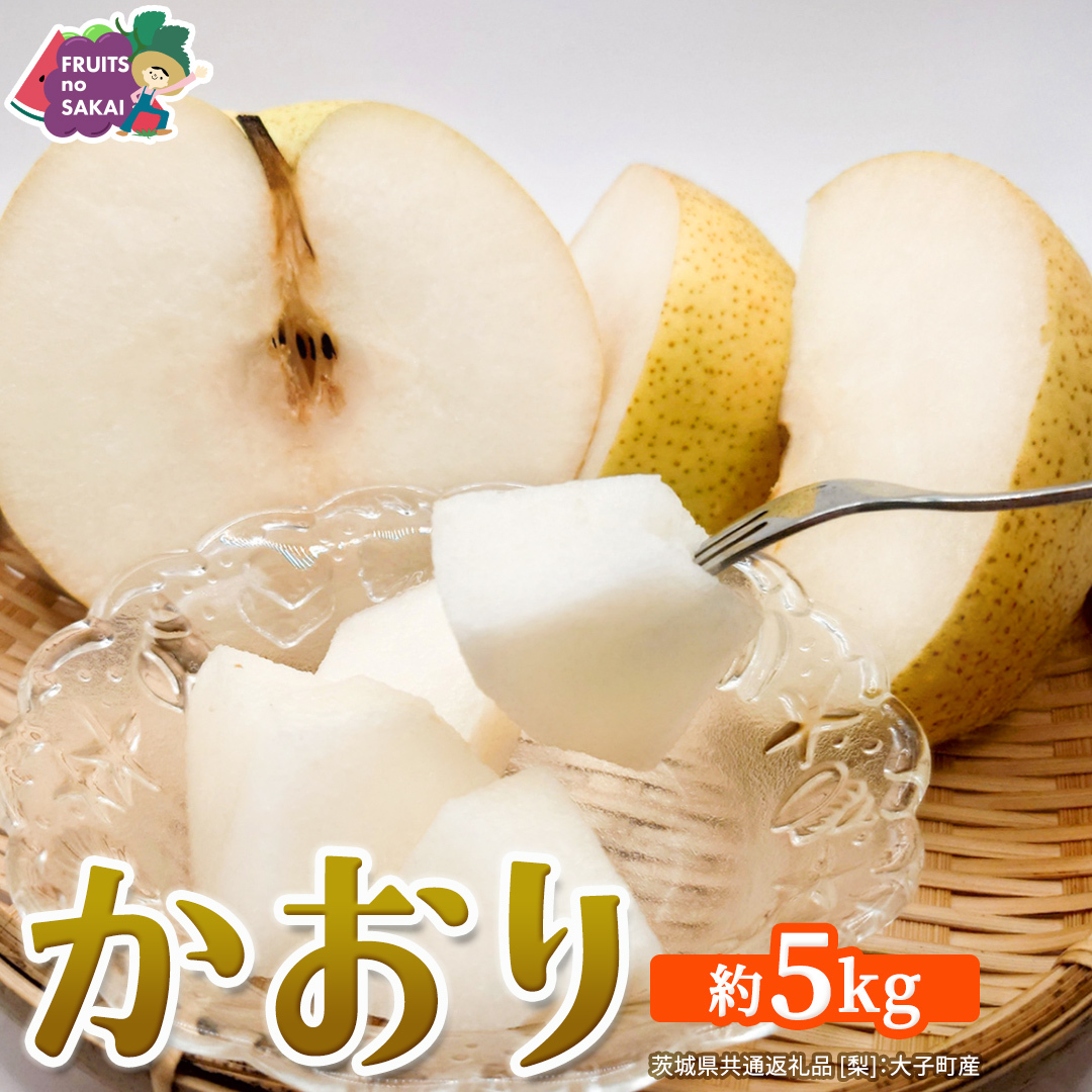 かおり 約5kg 【2026年9月より発送開始】（茨城県共通返礼品 [梨]：大子町産） 高糖度 ギフト 贈り物 プレゼント フルーツ なし ナシ 和梨  梨 果実 旬のフルーツ お取り寄せ くだもの 