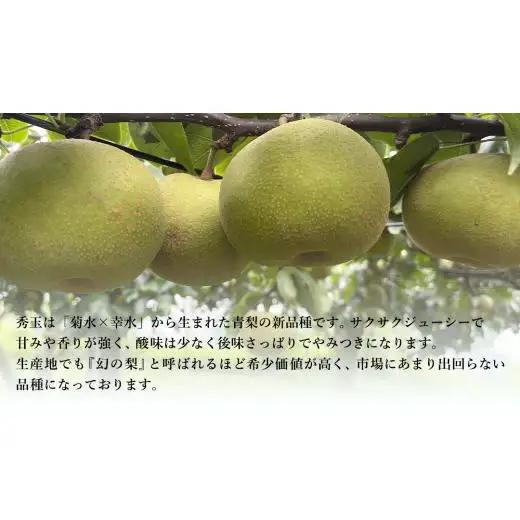 【 先行予約 】茨城県産 『幻の梨』 秀玉 約5kg 11玉～14玉( 茨城県共通返礼品 : 常陸太田市 )【 2026年 8月下旬頃より発送 】
