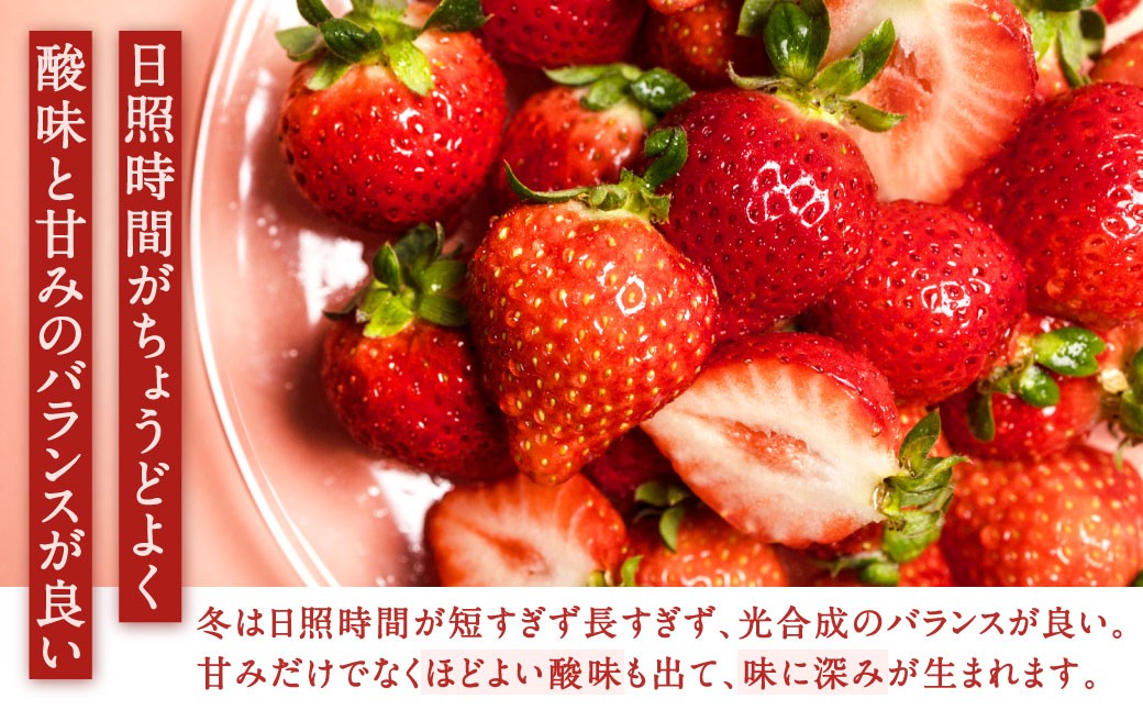 福岡県産特産品 うまもぐ厳選果物 福岡県産 博多あまおう DX上級品 約1.5kg（約250g×6パック入り）