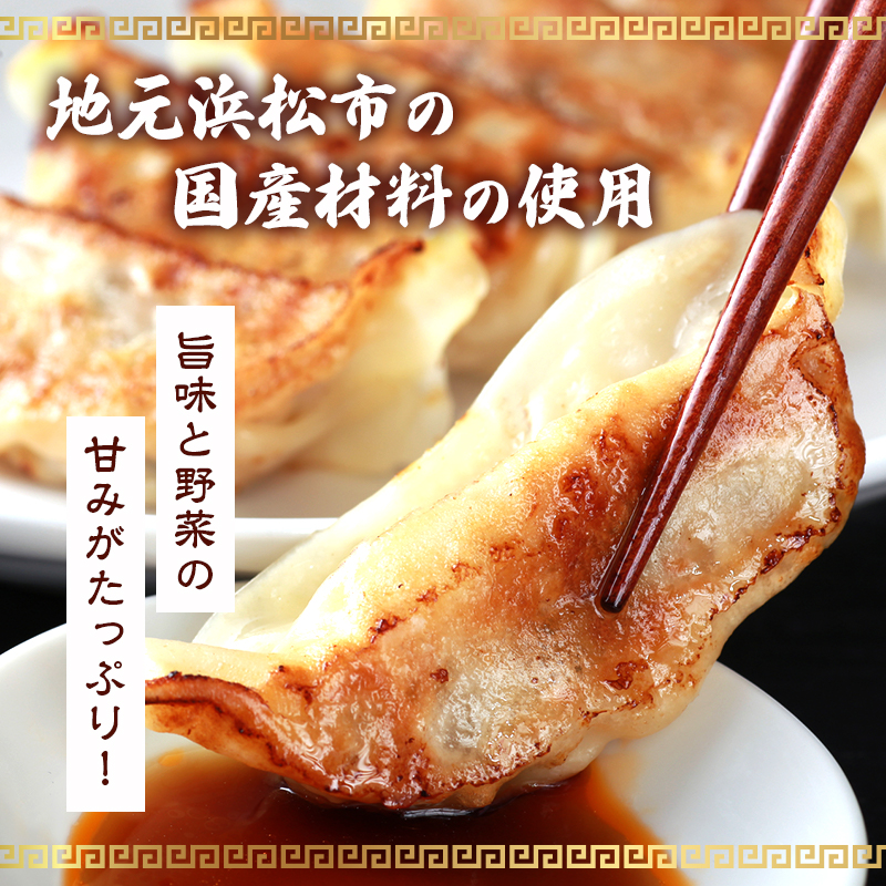 【定期便12回】ジューシーもち豚餃子（浜松餃子）うまさAランク 98個×12回（12か月）【配送不可：離島】餃子 ぎょうざ 中華 点心 惣菜 おかず 冷凍 ギョウザ 五味八珍 浜松市