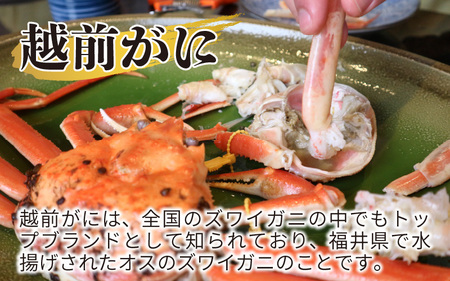 【先行予約】≪茹で≫特上 越前ズワイ蟹 『極』 1杯 ※活状態で1.5kg以上 【2025年2月発送分 各月数量限定】【越前ガニ 越前がに 越前ズワイガニ ズワイガニ ずわい ボイルガニ 幻のかに 冬