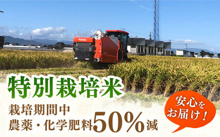 【特別栽培米】令和7年産 さがびより 玄米 10kg 【ももさき農産】 [HCG005]特A 