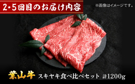 【全6回定期便】毎月内容が変わる！葉山牛お楽しみ便 牛肉 食べ比べ[ASAP088]