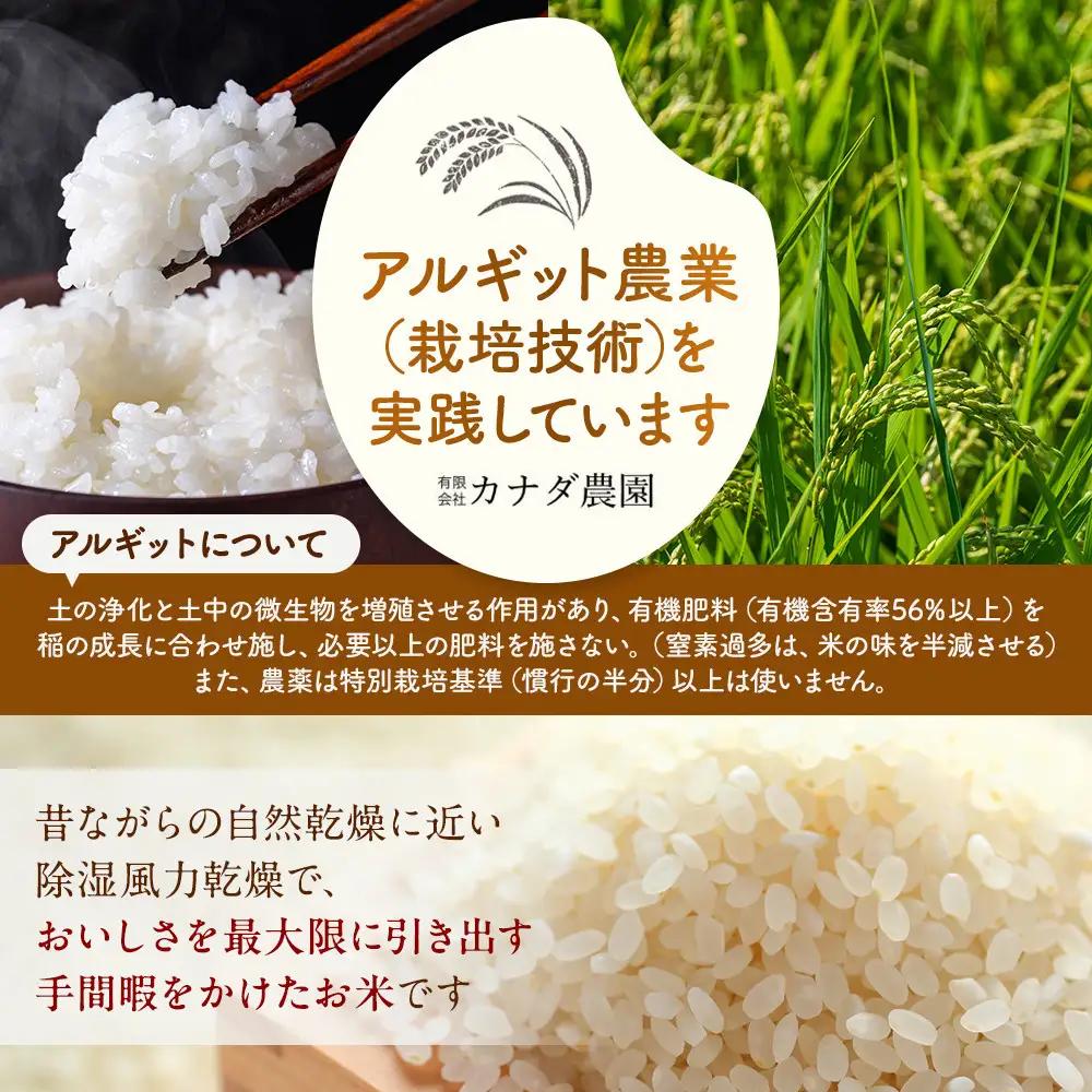 【令和8年産】定期便・隔月６回  富山県産こしひかり 育（はぐくみ）玄米３０kg《南砺の逸品》