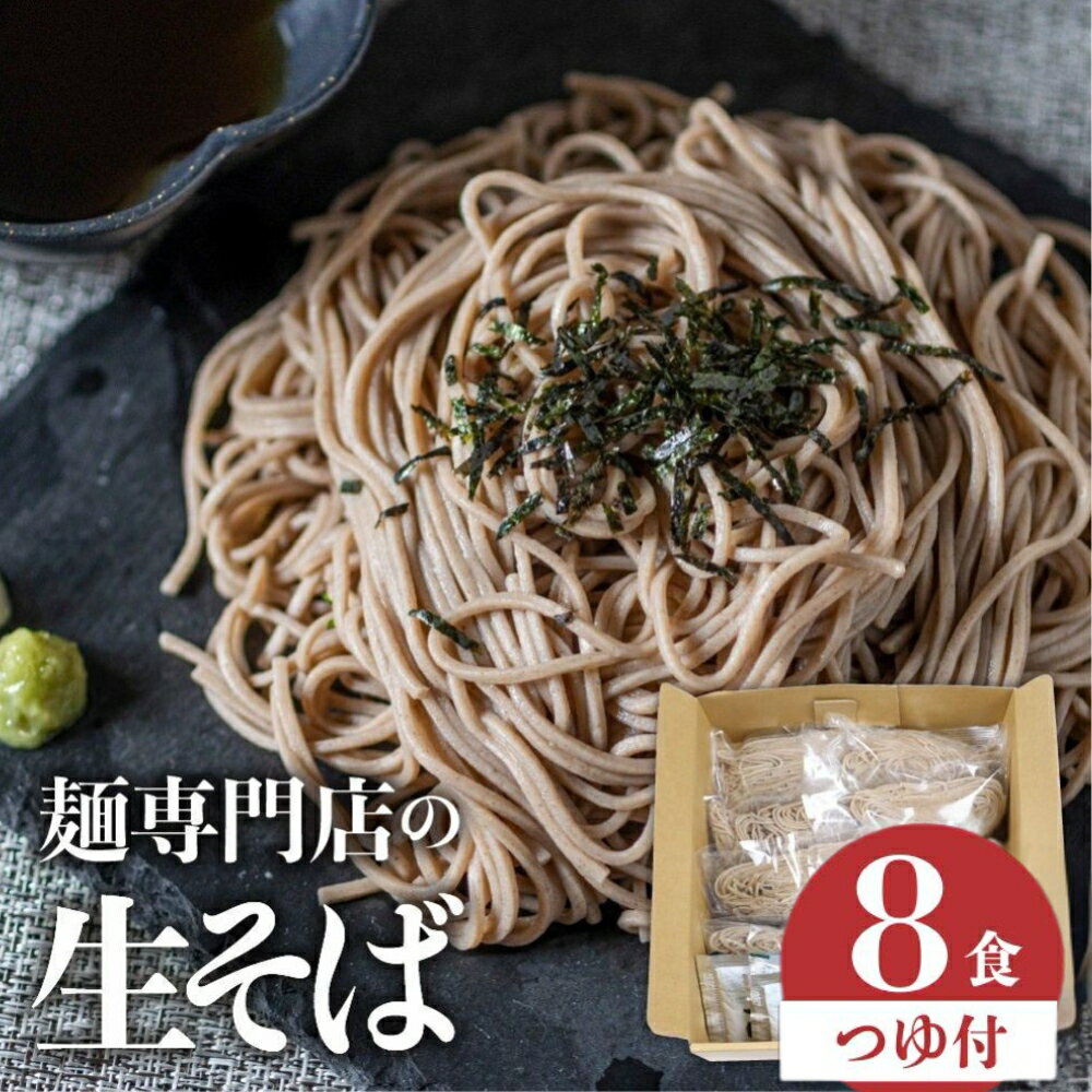 【ふるさと納税】生そば 8食 つゆ付 / 訳あり 定期便 蕎麦 そば かけそば ざるそば ソバ 麺 年越そば 年越蕎麦 生麺 合成保存料不使用 常温保存 簡易包装 老田屋 飛騨市 6000円 6千円