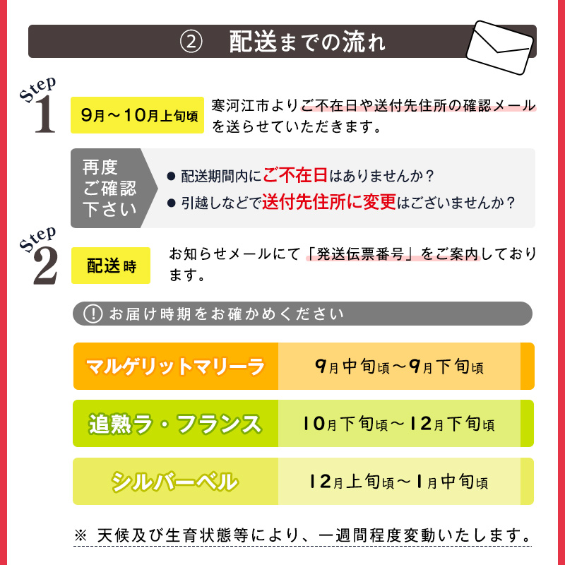  《先行予約》令和8年産 3回定期便 「洋梨食べ比べ 3種（追熟ラ・フランス マルゲリット・マリーラ シルバーベル）」山形県産 【2026年9月中旬頃から発送開始予定】　036-B-MM080