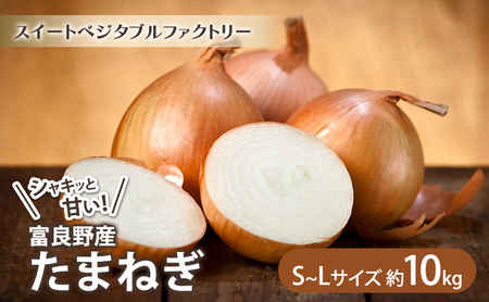 たまねぎ サイズ混合 富良野産 たまねぎ【約10kg S～Lサイズ】