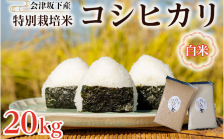 51-A 会津坂下町産 特別栽培米コシヒカリ 20kg(5kgx4) 白米 FARMiliarほり の 「もぉ～うん米」◇｜米 こめ コメ 精米 白米 20kg コシヒカリ