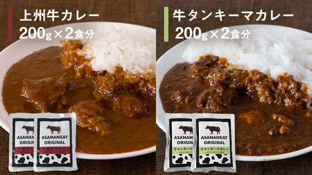 定番のレトルト 3点セット 2人前 上州牛カレー 牛タンキーマカレー ハッシュドビーフ の詰め合わせ 6食 [AH025tu]