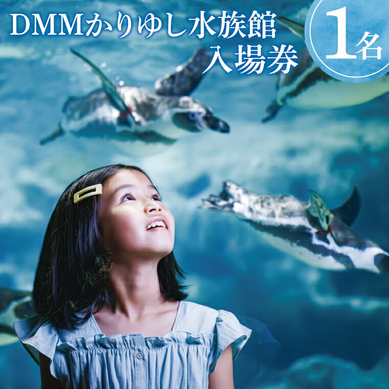 【ふるさと納税】「DMMかりゆし水族館」入場券｜水族館 入場券 チケット 旅行 観光 沖縄旅行 沖縄 おきなわ 豊見城市(DG001)