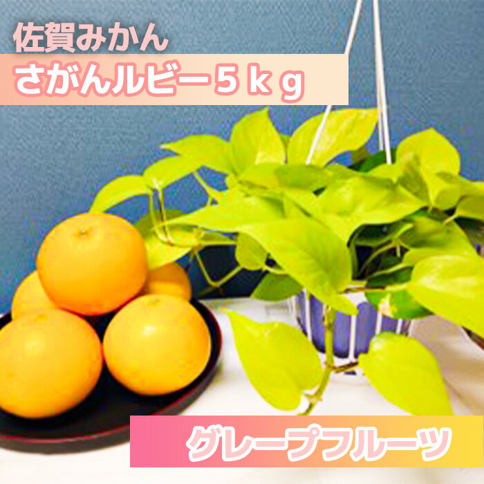 【ふるさと納税】さがんルビー　5kg（グレープフルーツ）（DV139）