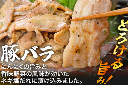 牛豚味付け焼肉セット 2.4kg 牛バラサガリ 牛バラ 豚バラ 味付き 小分け 保存 醤油 にんにく タレ 子供 生姜 香味野菜 ネギ塩 キャンプ バーベキュー 福岡県 福岡 九州 グルメ お取り寄せ