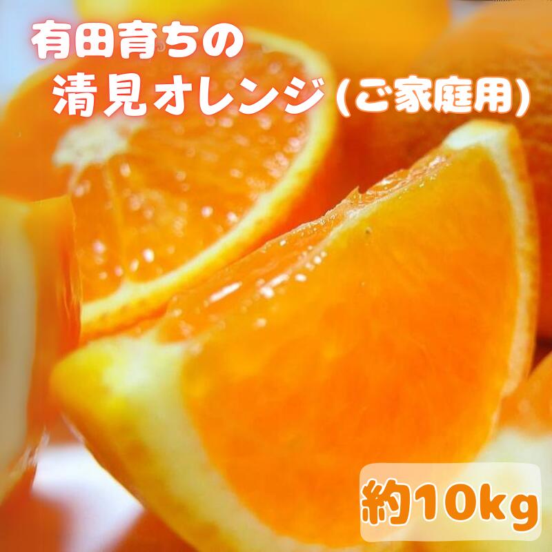 【ふるさと納税】【2026年2月下旬～3月下旬頃に順次発送予定】有田育ちの清見オレンジ(ご家庭用)　約10kg＋100g（補償分）※北海道・沖縄・離島配送不可