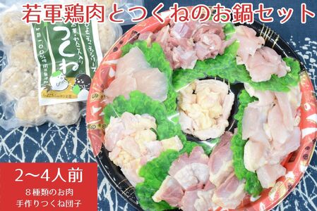 若軍鶏肉 （メス）と 工房謹製 つくね団子 のお鍋セット ひよころ鶏園 鶏肉 モモ もも ムネ むね ササミ ささみ 手羽 つくね 手作り ふんわり 柔らか 蓮根 れんこん 生姜 お子様 こども お年寄り 鍋 国産 新潟県 阿賀野市 冷凍 1R11012