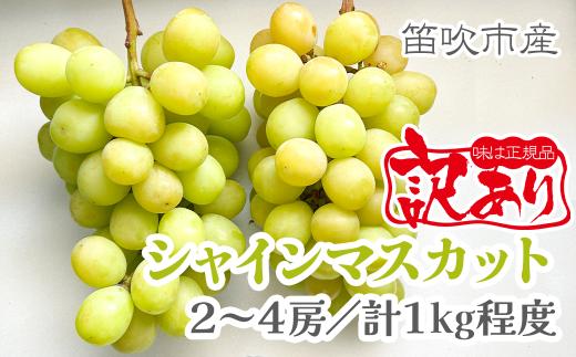 【2026年発送★先行予約】【訳あり品】山梨県産シャインマスカット2房～4房(合計1kg程度)　229-009-26y