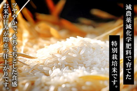 さんべ浮布米（無洗米）5kg【令和5年産 2023年産 特別栽培米 コシヒカリ 無洗米 5kg 島根県産 大田市産 米 こしひかり うるち米 浮布米 減農薬 減化学肥料 JGAP認証】