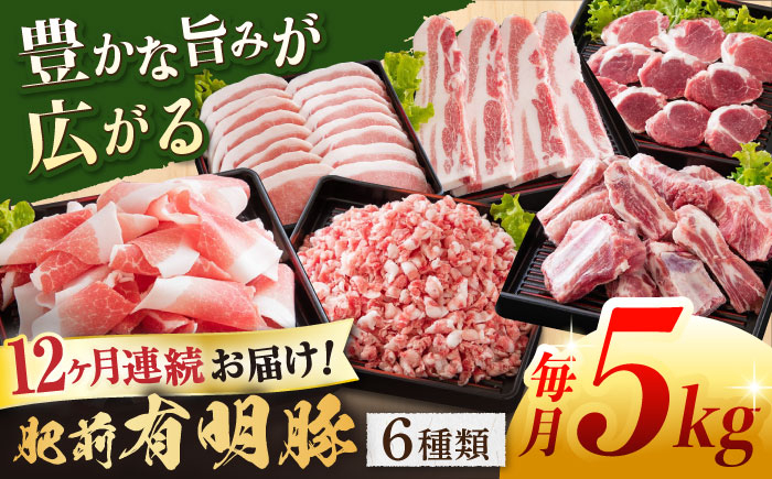 
【12回定期便】肥前有明豚 6種 バラエティセット 総計60kg【くすのきファーム】 [NAS106]
