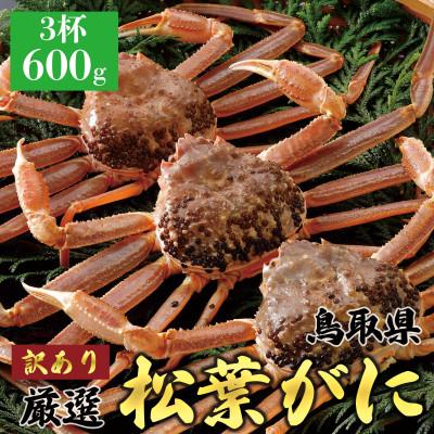 ふるさと納税 北栄町 【2026年11月発送】訳あり 松葉がに(活)600g3杯 N33_I