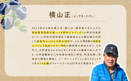 東京農工大学名誉教授「横山　正」ブランドのブルーベリー冷凍果実1kg（品種おまかせ）【東和ブルーベリー研究農園】