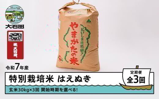新米 米 令和7年産 【玄米3回定期便】 はえぬき 30kg×3回 2026年1月・2026年4月・2026年7月発送 大石田町産 特別栽培米 玄米 ※沖縄・離島への配送不可 ja-hagxa30x3-tkk1to7
