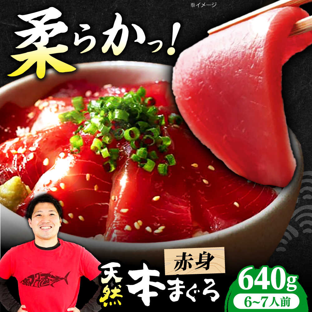 【ふるさと納税】極上！たね熟天然本まぐろ赤身(640g) 天然 マグロ 鮪 赤身 刺身 魚 魚介 大阪府高槻市/本まぐろ直売所[AOCE005]