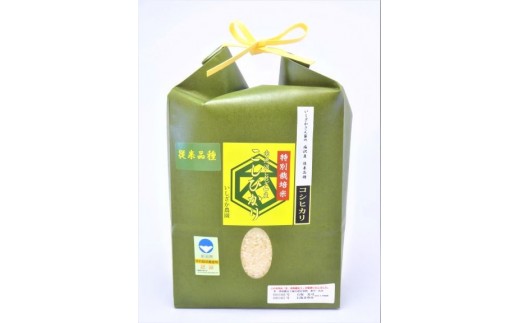 
                  【令和７年産】【いしざかさん家の】塩沢産従来コシヒカリ特別栽培米4.5ｋｇ【コシヒカリ こしひかり銘柄米 ブランド米 南魚沼産 新潟米 高評価 甘み  国産米 産地米 家庭米 ご飯】
                