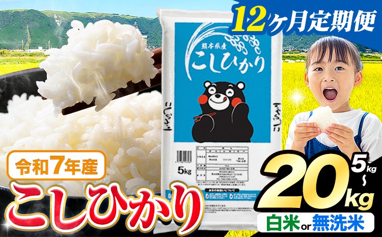 
                  【12ヶ月定期便】令和7年産  無洗米 も選べる こしひかり 5kg 10kg  20kg 定期便 も選べる《お申込みの翌月出荷》熊本県産 ふるさと納税 無洗米 白米 精米 米 こめ ふるさとのうぜい コシヒカリ コメ お米 おこめ
                
