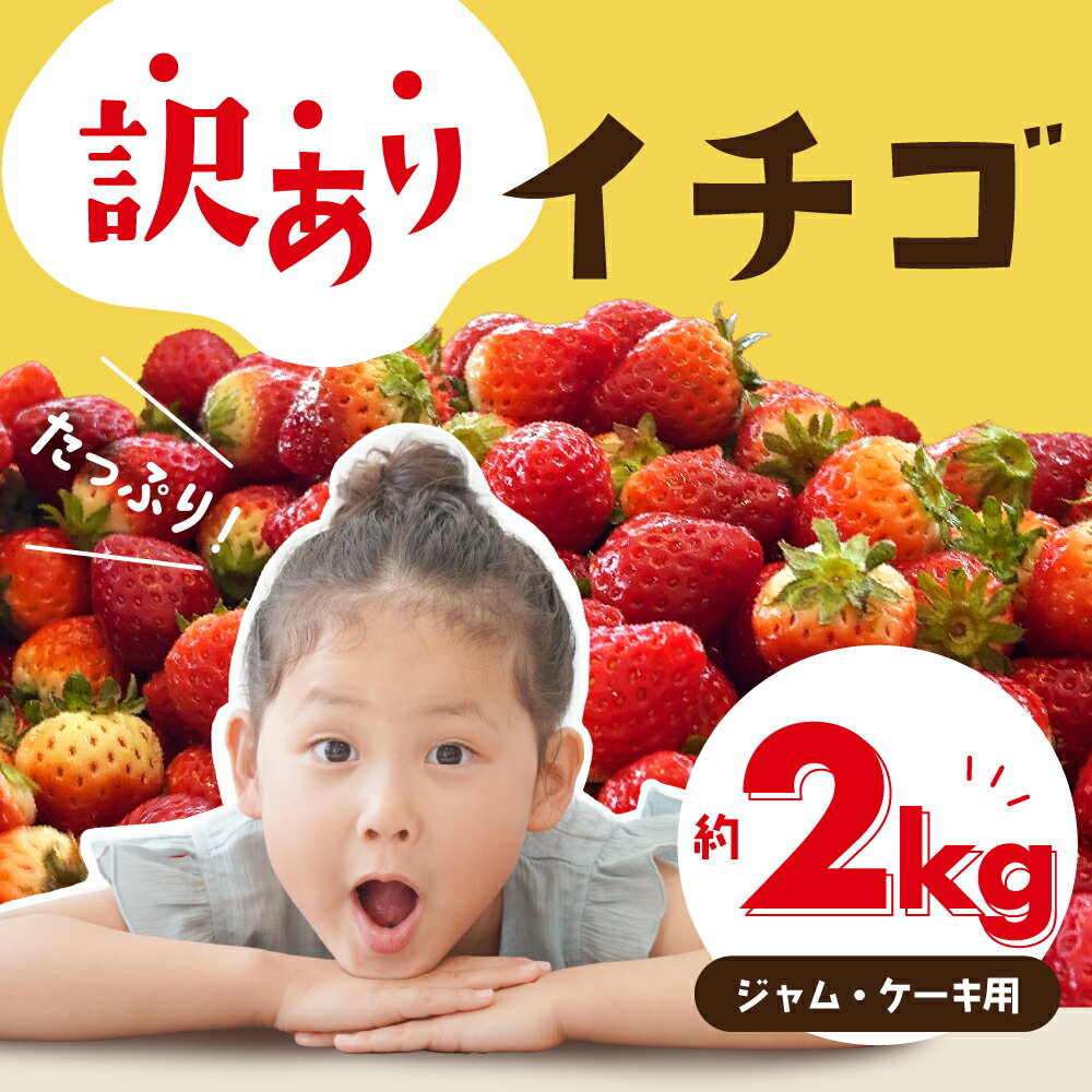 【ふるさと納税】≪先行予約≫ 訳ありイチゴ 約2kg 【ジャム用】詰め合わせ イチゴ いちご 苺 ブランドイチゴ 果物 フルーツ スイーツ おやつ 紅ほっぺ ゆめのか スターナイト わけあり 家庭用 高糖度 甘い 産地直送 旬 愛知県 豊橋市