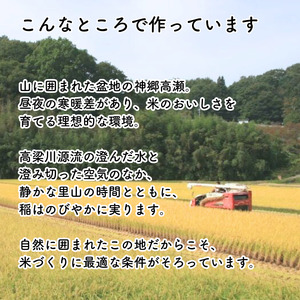 【令和7年産】新見庄米 コシヒカリ 白米 10kg （10kg×1袋）
