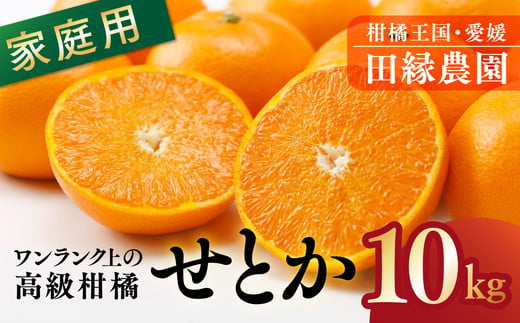 
            【先行予約】【家庭用】せとか 10kg｜ 柑橘 みかん ミカン フルーツ 果物 愛媛　※離島への配送不可　※2025年3月上旬～3月下旬頃に順次発送予定
          