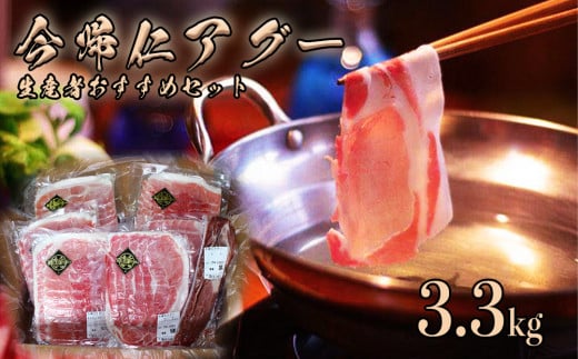 令和7年1月発送　産直「今帰仁アグー」生産者おすすめセット3.3kg
