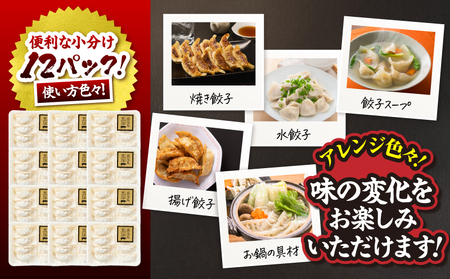 1289-1 鹿児島黒豚 餃子 1.6kg＜96個＞ 豚肉 黒豚 おかず 小分け アレンジ 贈答 鹿児島 鹿屋 こだわり KN054-004 肉 惣菜 総菜