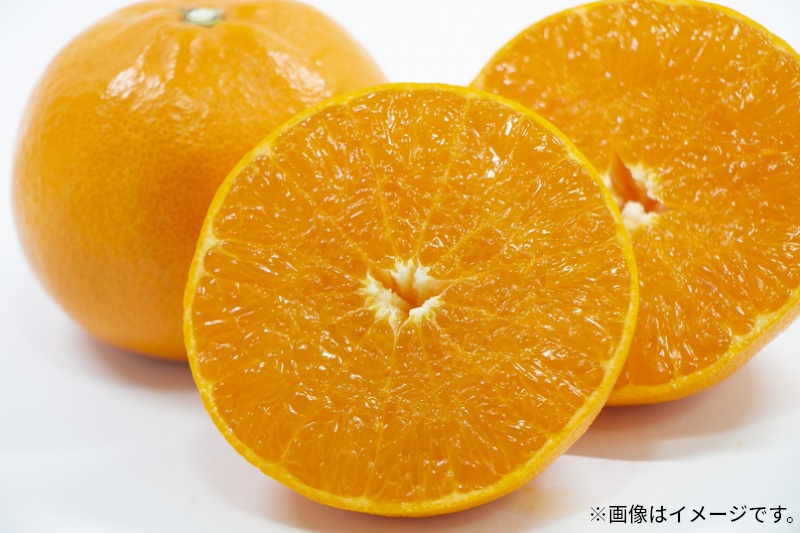 【ふるさと納税】 みかん せとか 柑橘界の大トロ 約3kg [ フルーツ 果物 果実 柑橘 デザート スイーツ 甘い 果汁 常温 食品 国産 香川県 三豊市 お取り寄せ お取り寄せグルメ ギフト プレ