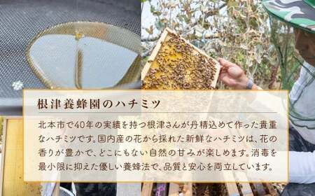 はちみつ 国産 百花 600g×2瓶 |はちみつ 蜂蜜 根津養蜂園