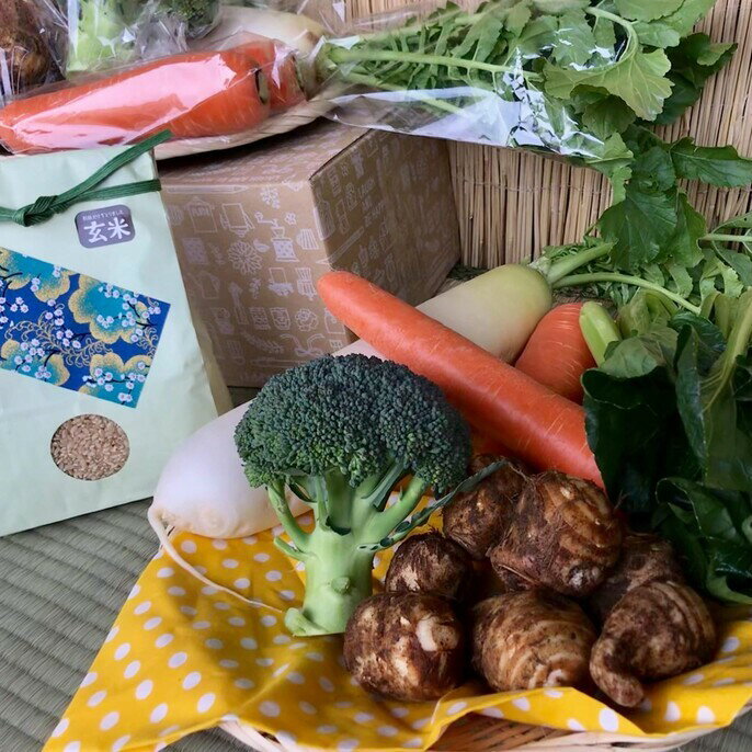 【ふるさと納税】＜栽培期間農薬不使用＞ 玄米2kgと季節の野菜（4～5品）のセット 4～5品 自然栽培 野菜 旬 セット 詰め合わせ 神栖市 茨城県 送料無料 【2025年9月より順次発送開始】