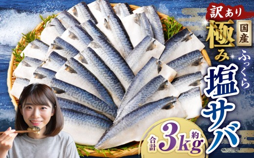 【訳あり】国産 ふっくら 極み塩サバ 計約3kg ／ 1切れ 塩サバ 塩さば 塩鯖 さば サバ 鯖 魚