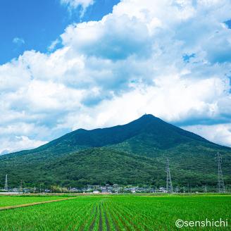 ＜お歳暮熨斗付＞半熟せんべい 5袋詰合せ クアトロセット 半熟カレーせん 半生しょうゆせん 半熟もんじゃ煎餅 半熟キャラメルせんべい カレー味 かつおだし 甘辛ソース 新食感 もん [AO012sa]