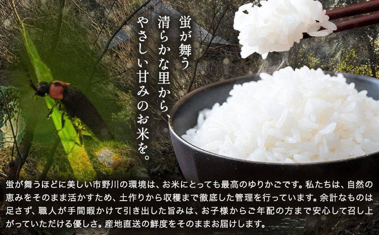 米 こめ コメ 令和7年産 いちの川 コシヒカリ 白米 5kg 市野川米製作所 《30日以内に出荷予定(土日祝除く)》米 ご飯 こしひかり