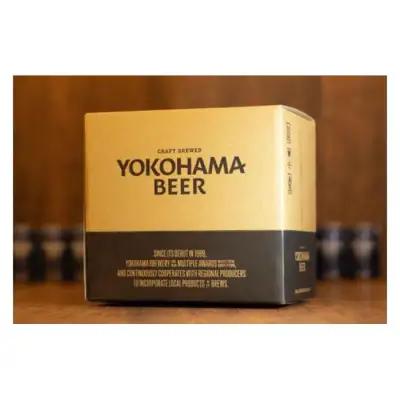 【父の日当日にお届け】横浜ビール ALE 2種12本セット クラフトビール 父の日ギフト AFH0002-F