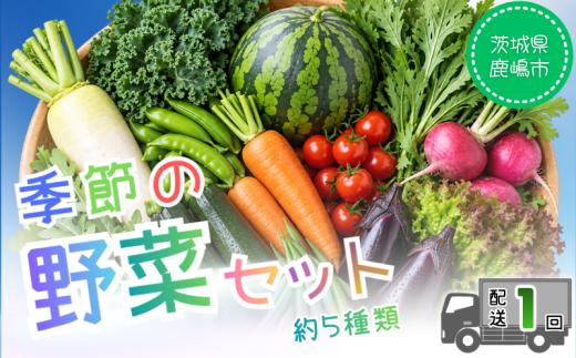 数量限定 野菜 詰め合わせ お野菜詰め合わせ セット 5種類 人気 詰合せ 季節の野菜 野菜セット 新鮮野菜  産地直送 お取り寄せ 大根 干し芋 ケール ルッコラ スナップエンドウ 絹さや ソラマメ サニーレタス オクラ ズッキーニ 小玉すいか ナス 茄子 紅芯大根 紅芯 送料無料 おすすめ 旬 新鮮 旬野菜 お試し 5000円 ふるさと納税 茨城県 鹿嶋市 【11月以降順次発送】