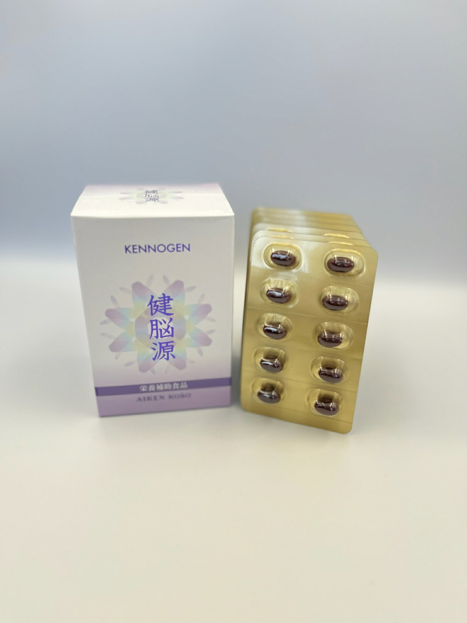 【ふるさと納税】愛健酵素 健脳源 プラズマローゲン含有加工食品　送料無料 静岡県 富士宮市