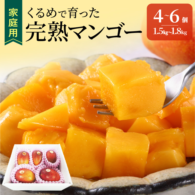 【家庭用】くるめで育った完熟マンゴー（4～6個：約1.5～1.8kg）_【先行予約】家庭用 トロ～ッと口のなかでとろける くるめで育った 完熟マンゴー 4個 ? 6個 甘い 子供も安心 2025年 6月より 順次お届け フルーツ 果物 果実 マンゴー 完熟 国産 家庭用 訳あり 冷蔵 クール便 倉重農園 お取り寄せ 福岡県 久留米市 送料無料_Fm008