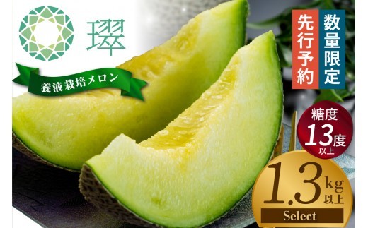 【先行予約】養液栽培メロン「璻」1玉【Select】（糖度13度以上、重さ1.3㎏以上）【熨斗対応可能】│メロン めろん 果物 フルーツ 高級 旬 お取り寄せ 青肉 ご褒美 グルメ 璻 甘い 愛知県 常滑市