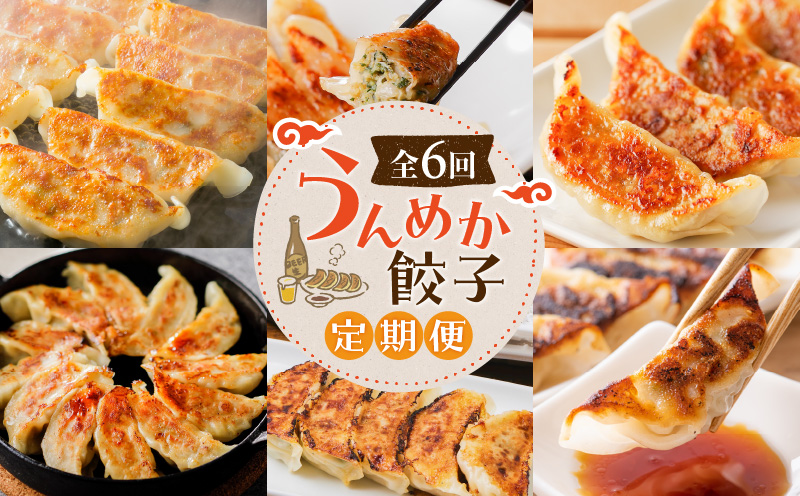 【全6回】うんめか餃子定期便　K000-