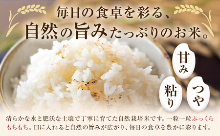 【6ヶ月定期便】令和7年産 高野さんちの自然栽培米 白米 計30kg(5kg×1袋/月×6回) 《通常パッケージ》株式会社有機農場《お申し込み月の翌月から出荷開始》熊本県 菊池市 米 お米 ヒノヒカリ