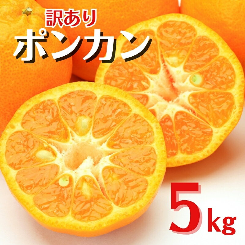 【ふるさと納税】訳あり ポンカン 5kg ご家庭用 みかん 人気 数量限定 先行予約 柑橘 伊予市 【2026年1月中旬以降順次発送】｜B147