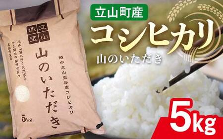 立山産 コシヒカリ 「山のいただき」 5kg 昆虫王国立山 立山自然ふれあい館 米 お米 コメ 白米 こしひかり 美味しい 富山県 立山町 F6T-518
