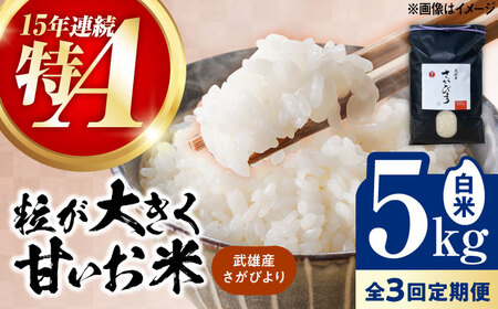 【3回定期便】さがびより 白米 5kg /株式会社 y's company（utsu和ya）[UDX025] さがびより 定期