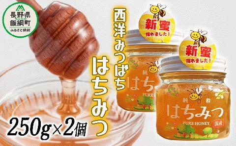 西洋みつばち の はちみつ 250g × 2個 ブンブン渋沢 沖縄県への配送不可 信州 蜂蜜 ハチミツ はちみつ ハニー 加工食品 国産 ご当地 長野 農家直送 長野県 飯綱町 [1119]